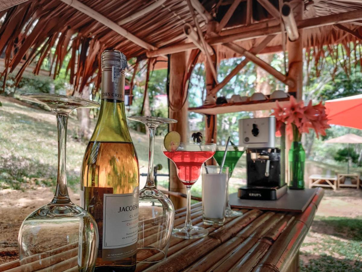 班柯木 自然山丘旅馆酒店 外观 照片